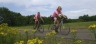 Wil jij in een Giro-d'talia-rose trui met een Nederlands Sportgedicht