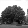 Begraafplaats Orthen 1990