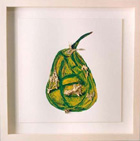 Peer/Pear 